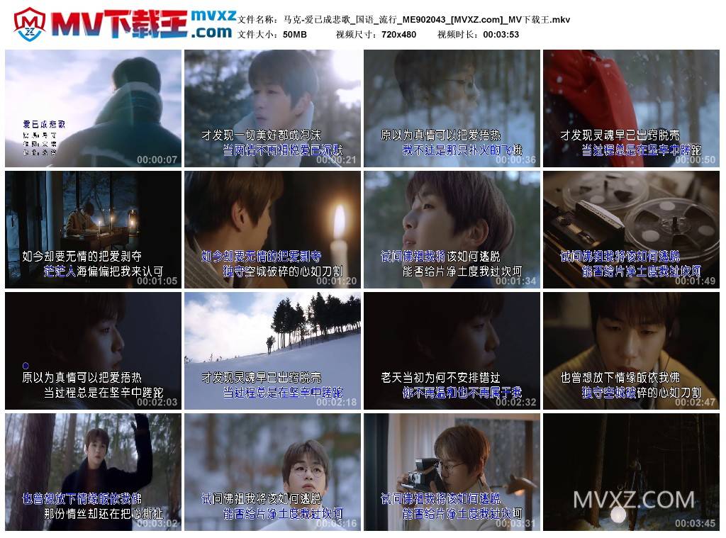 马克-爱已成悲歌_国语_流行_ME902043